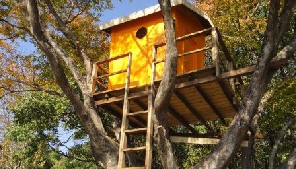 非電化工房キャンプ場